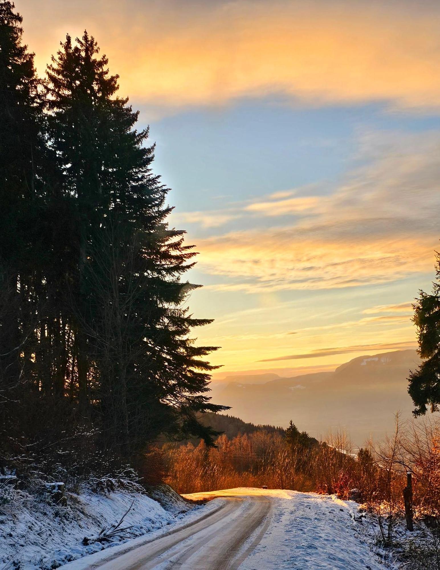 Le Banc Des Seilles Bonvillard Exterior foto