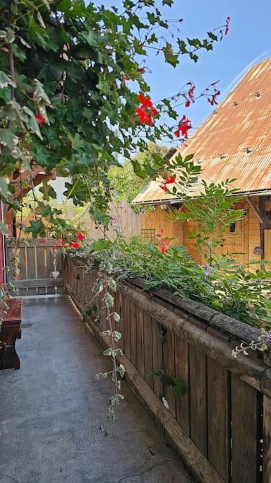 Le Banc Des Seilles Bonvillard Exterior foto
